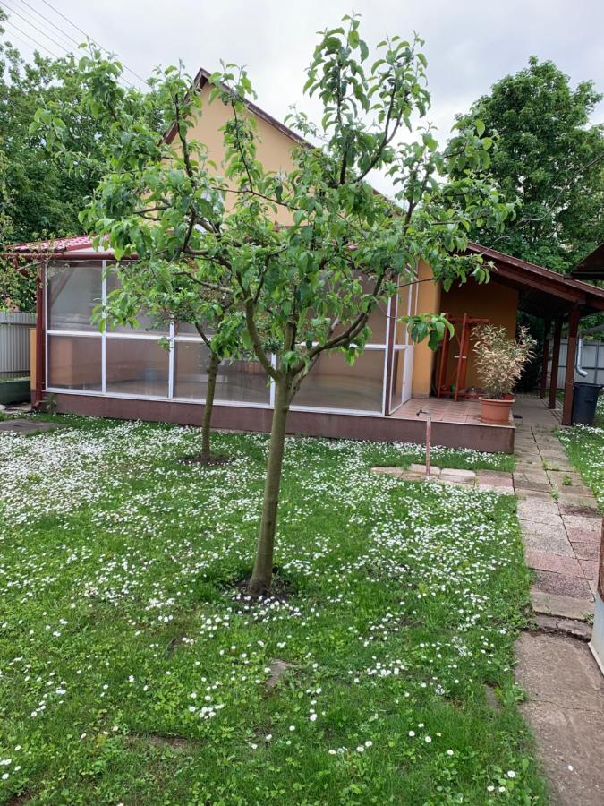 Eoetvoes Vendeghaz Villa Hajdúszoboszló Екстериор снимка
